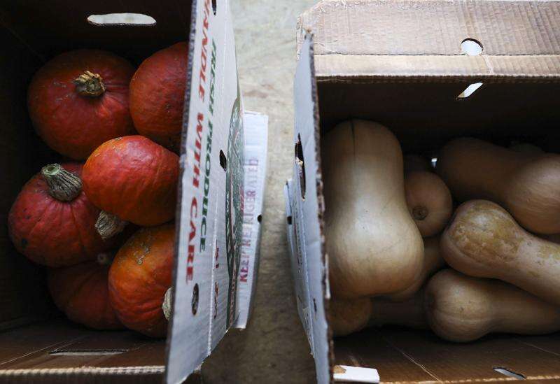 Iowa local food programs, specialty crops get $300,000 in federal grants from state