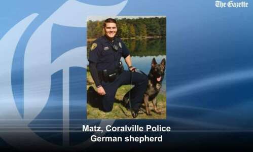 Cedar Rapids man accused of assaulting police dog
