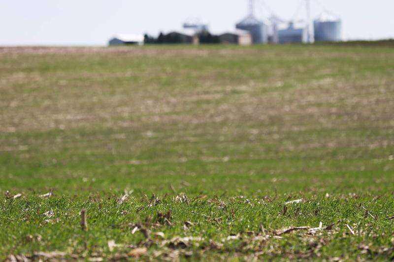 For Iowa farmers, profiting from cover crops may unlock potential