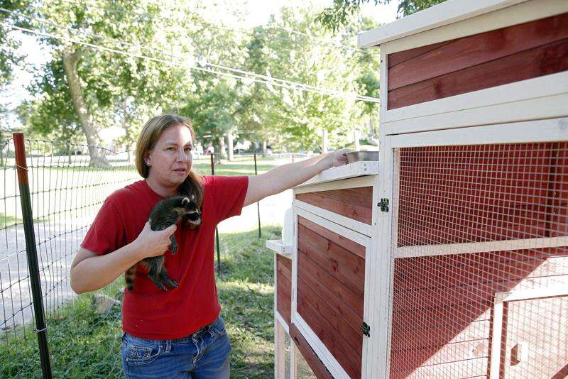 Emotions stir over Cedar Rapids crackdown on neighborhood wildlife rehab