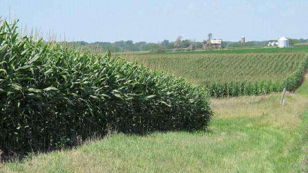 Study: Ethanol better for environment than thought