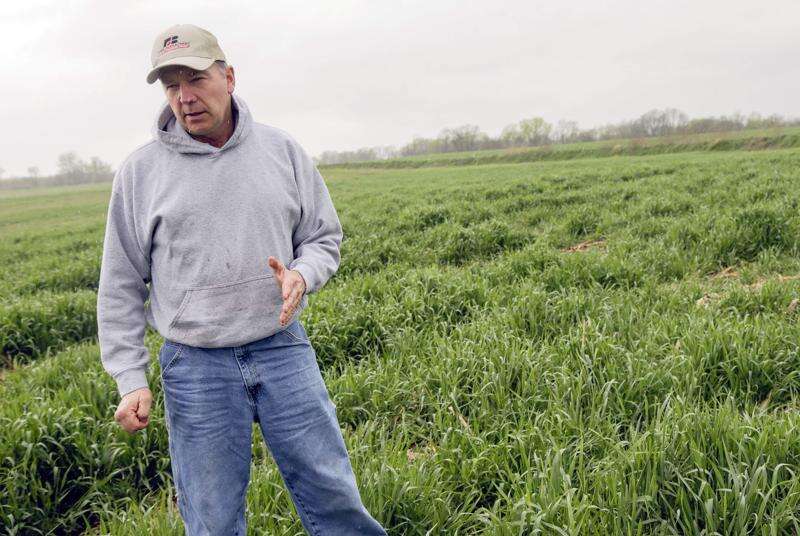 Iowa Farm Bureau elects new president