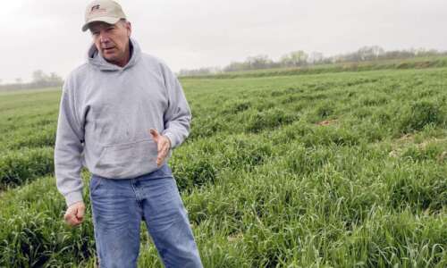 Iowa Farm Bureau elects new president