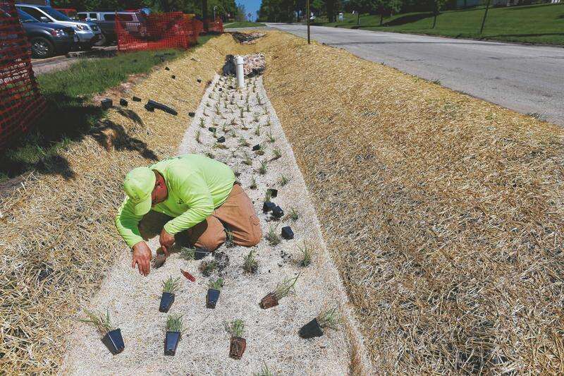 New bioswales near Cedar Rapids schools offer lessons for leaders, model for residents