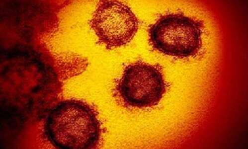 Iowa adds 40 virus cases, one death on Monday