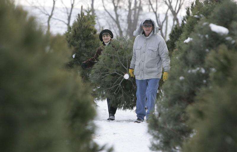 Time Machine: Iowa Christmas tree growers organized 65 years ago to guarantee holiday greenery
