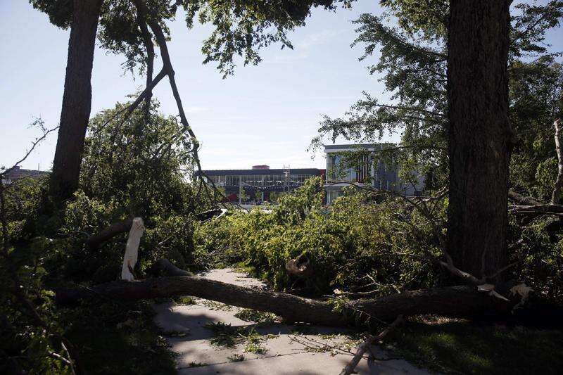 Cedar Rapids lost more of its tree canopy in derecho than initially estimated