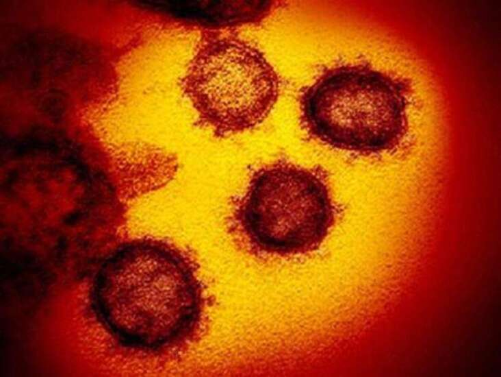 Iowa adding new coronavirus cases at record clip