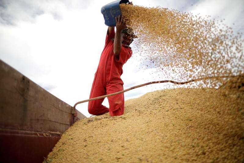 China makes first major buy of U.S. soybeans since Trump-Xi meet