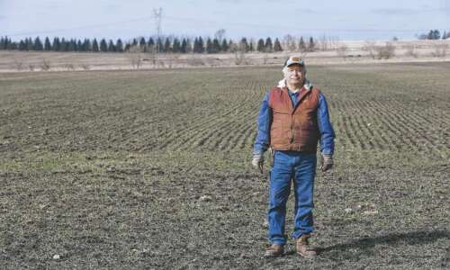 Growing alternative crops in Iowa can bring risks and rewards