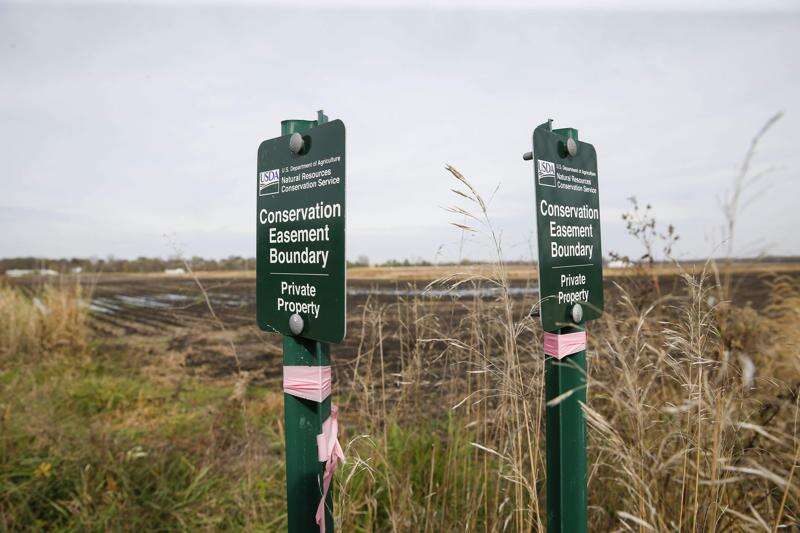 Wetland credited with reducing flood’s crest
