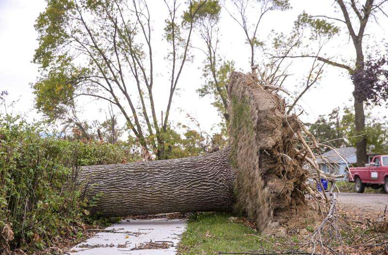 A downed tree remains after the Aug. 10 derecho on Cheyenne Road NW in Cedar Rapids on Thursday, Sept. 24, 2020. (Andy Abeyta/The Gazette)
