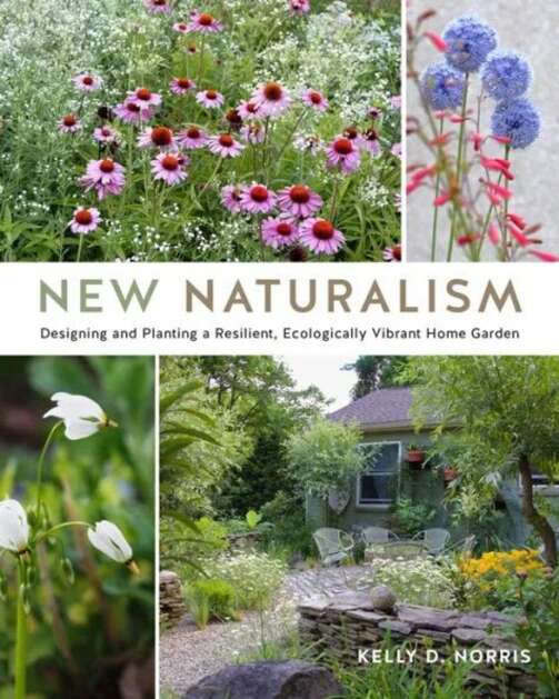 New Naturalism by Kelly Norris
