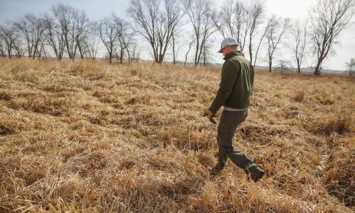 Public land acquisition limits pass Iowa Senate committee