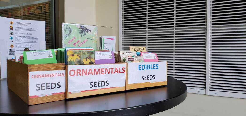 Washington seed library is built for beginners