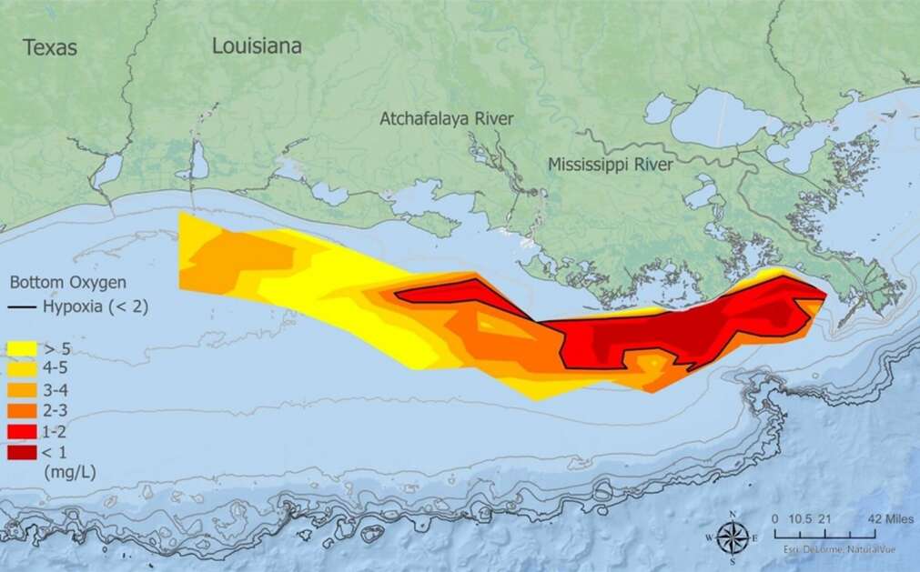 In this map of the hypoxic zone, measured between July 23 and 28, red denotes less than 2 mg/L of oxygen at the bottom of the seafloor.