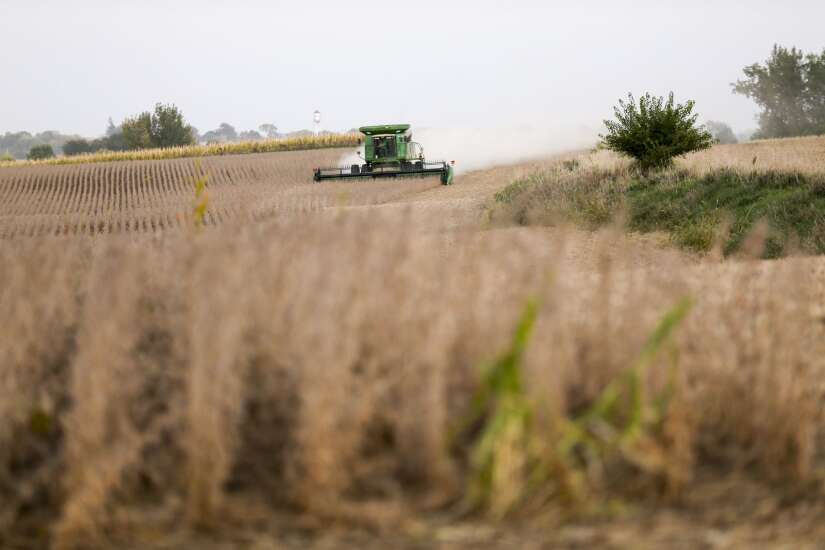 Many Iowa farmers say crop yields better than expected after dry growing season 