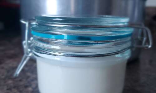 What makes yogurt taste so sour? Find out and make your own batch