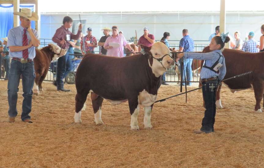 Washington hosts national cattle show