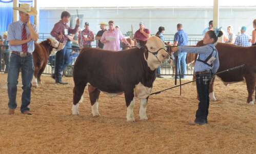 Washington hosts national cattle show
