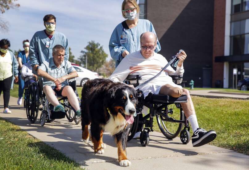 Residential therapy dog makes Mercy’s Hallmar residents feel at home