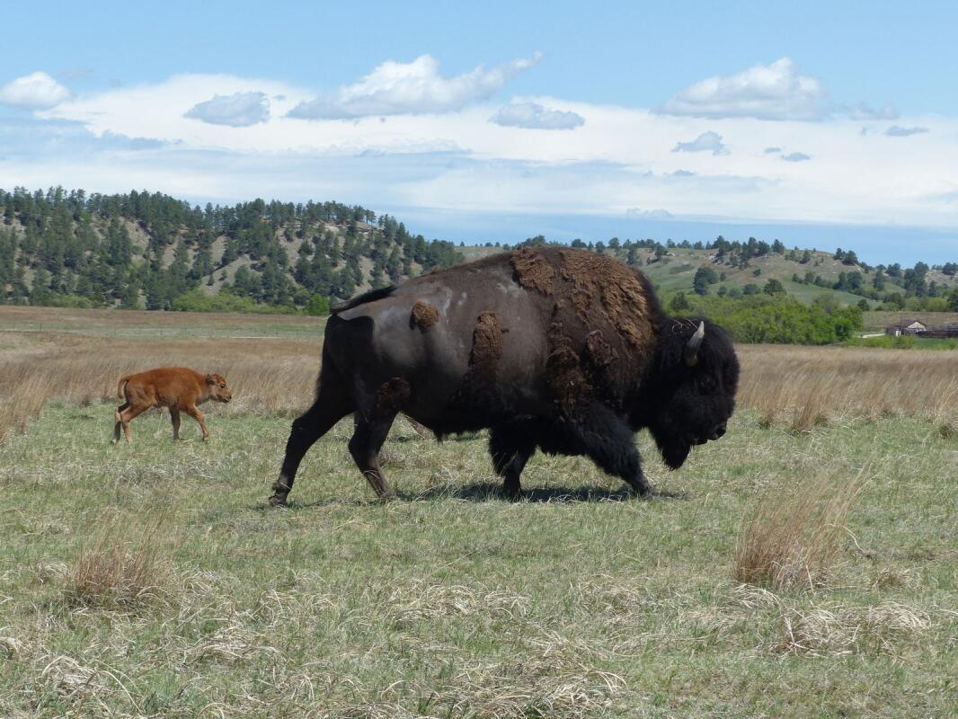 Charming Casper, Wyoming, offers majestic views, outdoor sports and history