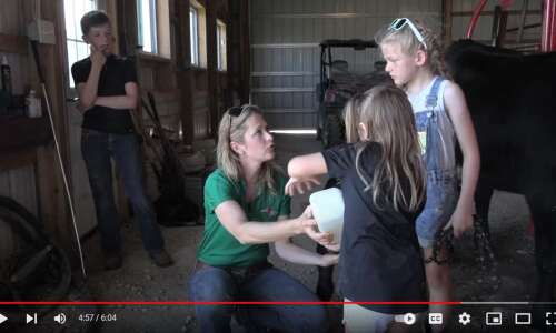 Raising beef cows is a family affair for the Birkers