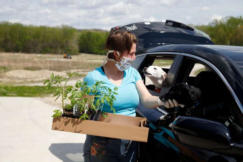 Plant sales return as in-person events in Johnson County, Linn County
