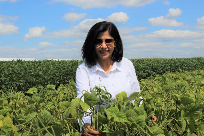 Iowa State University gets grant to study mung beans