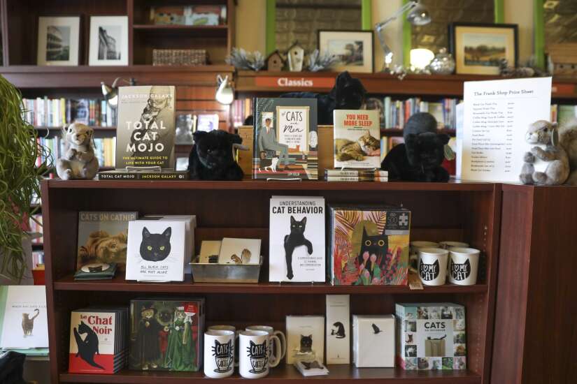Bookstore cat opens his own book section at Next Page Books in Cedar Rapids