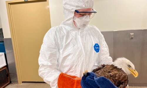 Iowa bird farmers on ‘high alert’ for avian flu