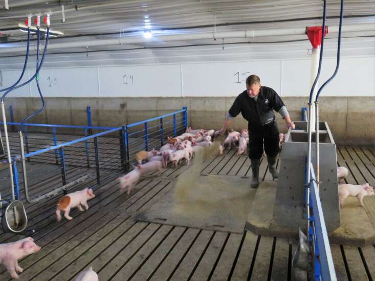 This’ll Do Farm brings pork production to social media