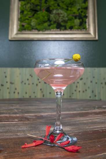 Iowa City’s first plant bar blossoms