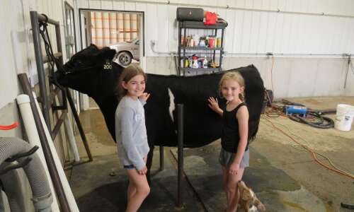 For Holmes family, cattle cross generations