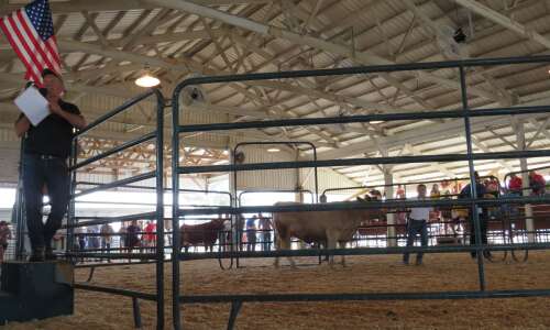 4H’ers earn thousands at Washington County Fair livestock auction