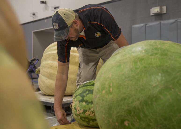 Photos: Ryan Norlin Giant Pumpkin Weigh-In