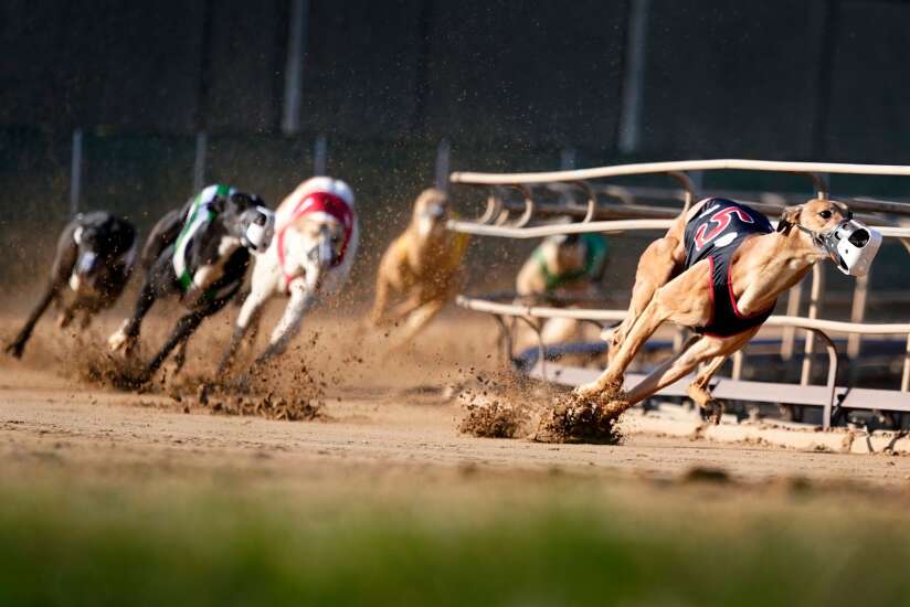 Iowa greyhound racing nears end 