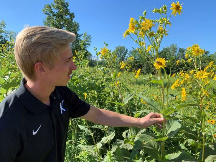 Kirkwood students and staff maintain 210-acre prairie near Ely