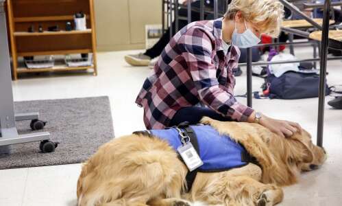 Therapy dogs in Cedar Rapids schools help students learn