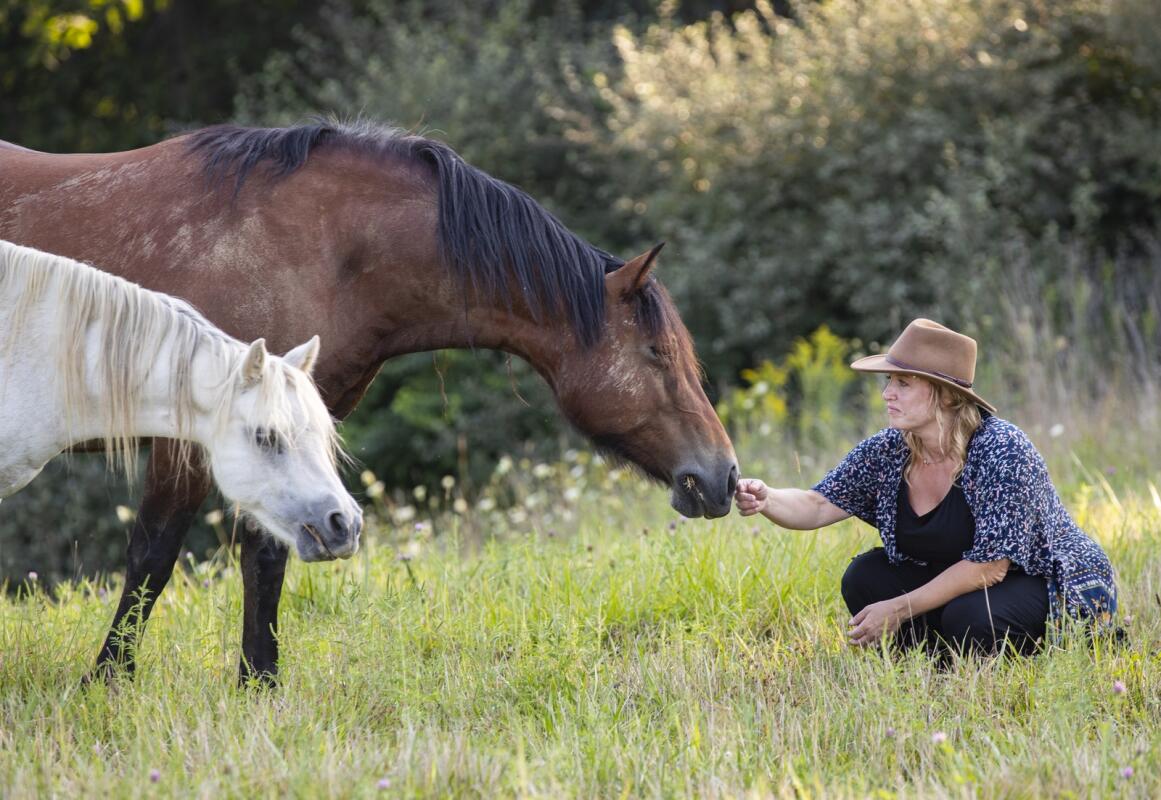Psychotherapist brings new equine therapy to Iowa City for mental health benefits