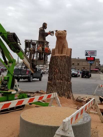 Tipton hires chainsaw artist to carve trees struck by derecho