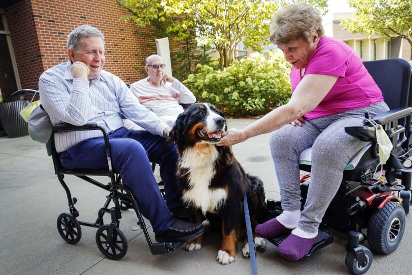 Residential therapy dog makes Mercy’s Hallmar residents feel at home