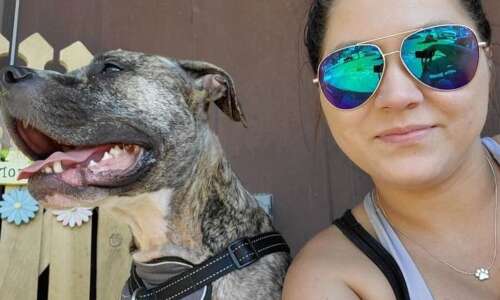 Keystone pit bull owners will keep their dogs