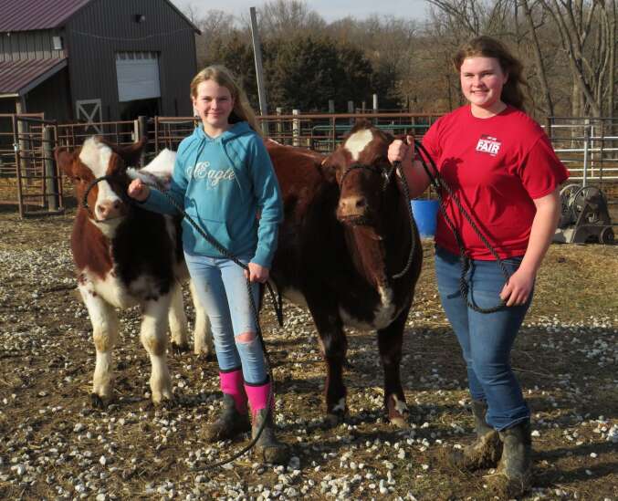Mt. Pleasant youth tries her hand at raising award winning cattle