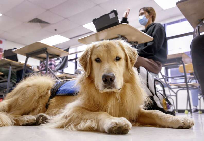 Therapy dogs help students learn at Cedar Rapids schools