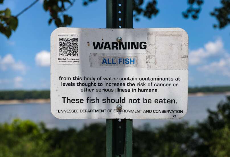 Should you eat fish from the Mississippi River? Depends which state you ask.