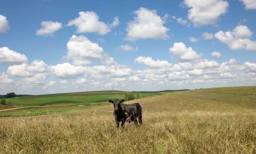 Surveys show historic increases in farmland values and cash rents