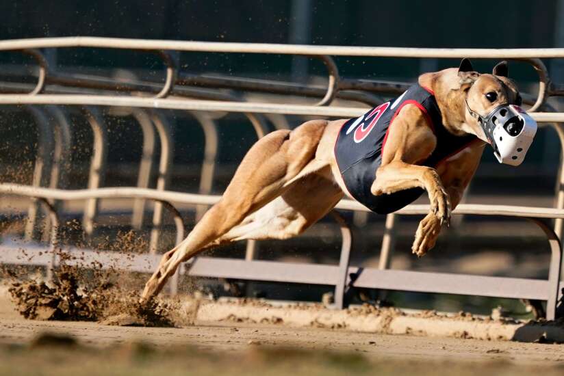 Iowa greyhound racing nears end 
