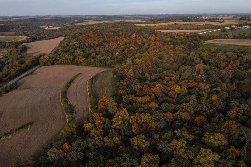 Iowa leaves are changing colors, but the vibrancy will depend on the weather