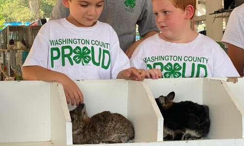 Washington County 4-H Clover Kids participate in Clover Kids Rabbit…